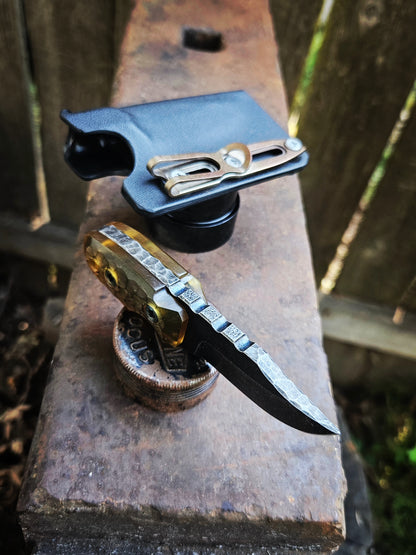 BHK : Mini MKII Clip Point